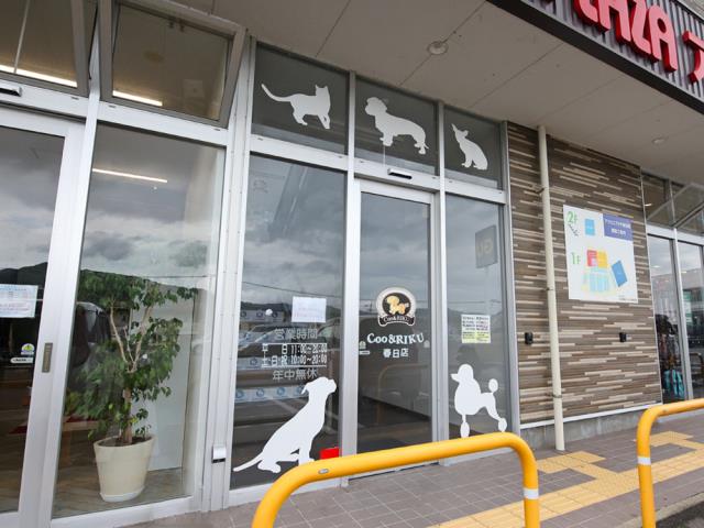 Coo&RIKU フォレストシティ春日店