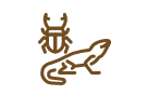 爬虫類・昆虫