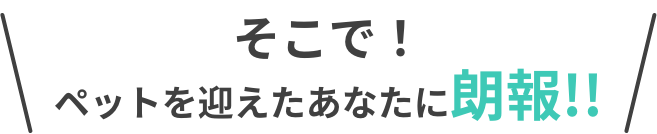 そこで！ペットを迎えたあなたに朗報！！
