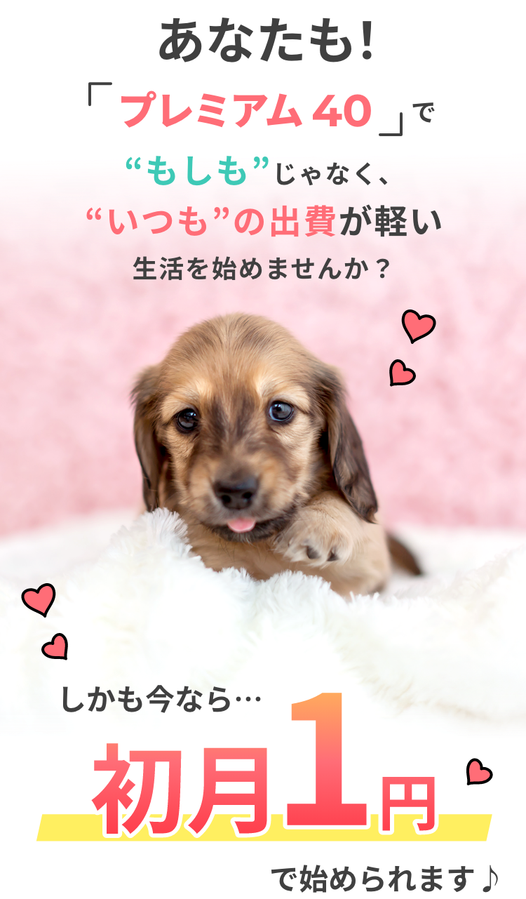 あなたも！「プレミアム40」でもしもじゃなく、いつもの出費が軽い生活を始めませんか？ しかも今なら・・・初月1円で始められます