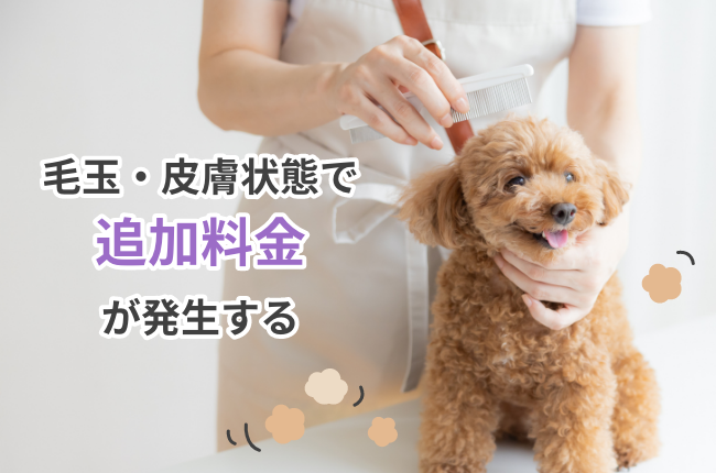 毛玉・皮膚状態で追加料金が発生する。