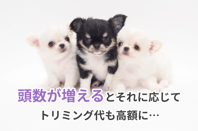 頭数が増えるとそれに応じてトリミング代も高額に...