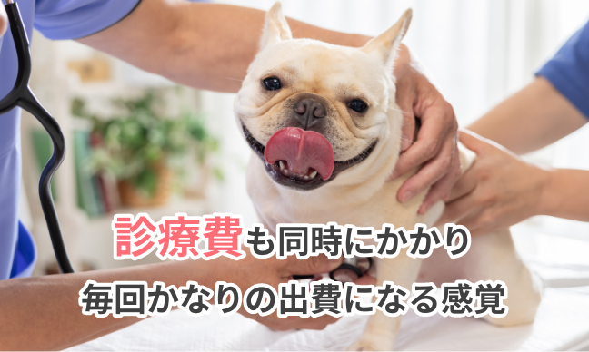 診療費も同時にかかり毎回かなりの出費になる間隔