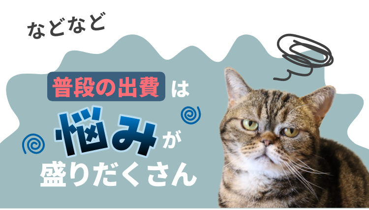などなど普段の出費は悩みが盛りだくさん