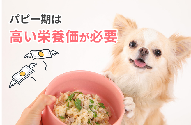 パピー期は高い栄養価が必要