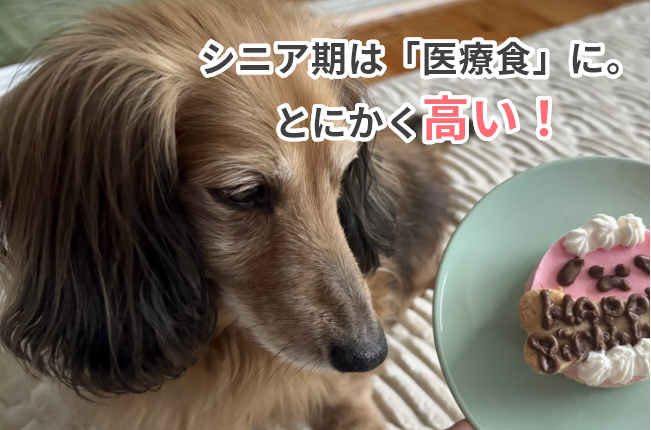 シニア期は「医療食」に。とにかく高い！