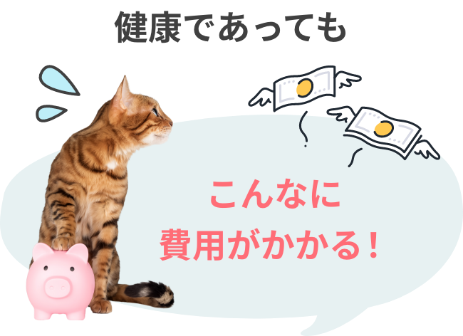 健康であってもこんなに費用がかかる。