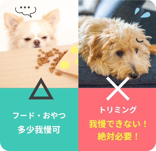 フード、おやつ多少我慢可 トリミング 我慢できない!絶対必要!