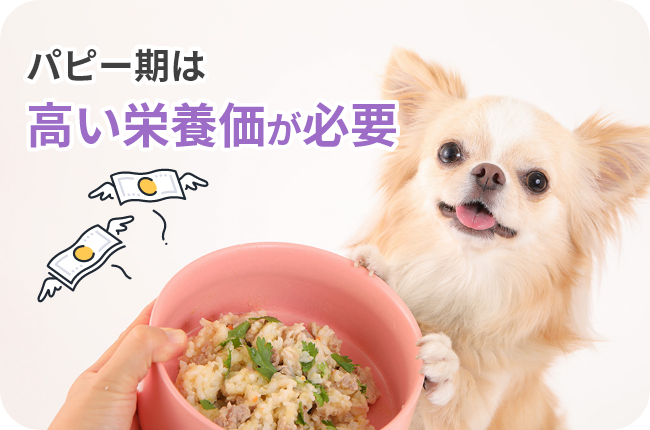 パピー期は高い栄養価が必要