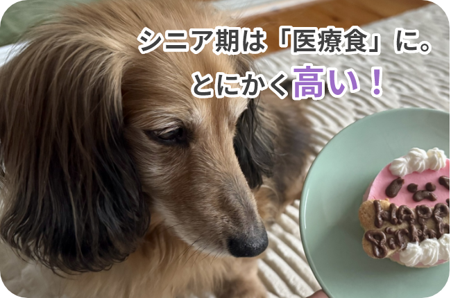 シニア期は「医療食」に。とにかく高い！