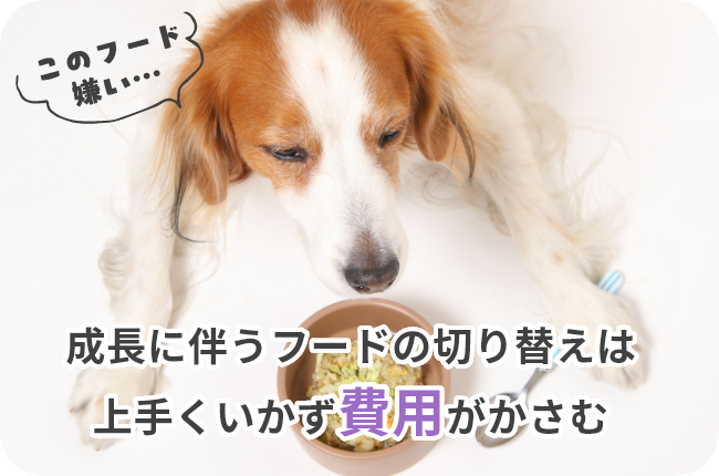 このフード嫌い・・・ 成長に伴うフードの切り替えは上手くいかず費用がかさむ