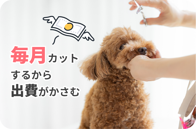毎月カットするから出費がかさむ