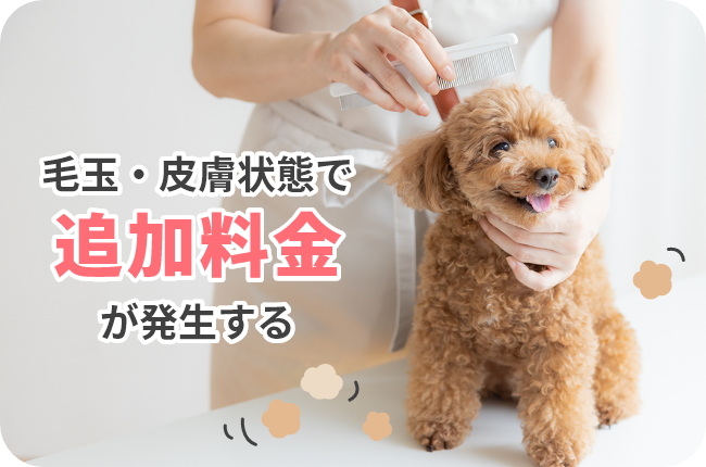 毛玉・皮膚状態で追加料金が発生する