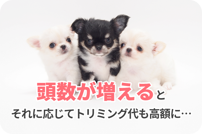 頭数が増えるとそれに応じてトリミング代も高額に・・・