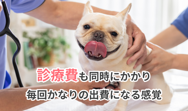 診療費も同時にかかり、毎回かなりの出費になる感覚