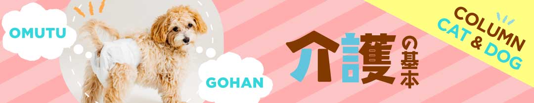 コラム 確認しよう！「介護のきほん」