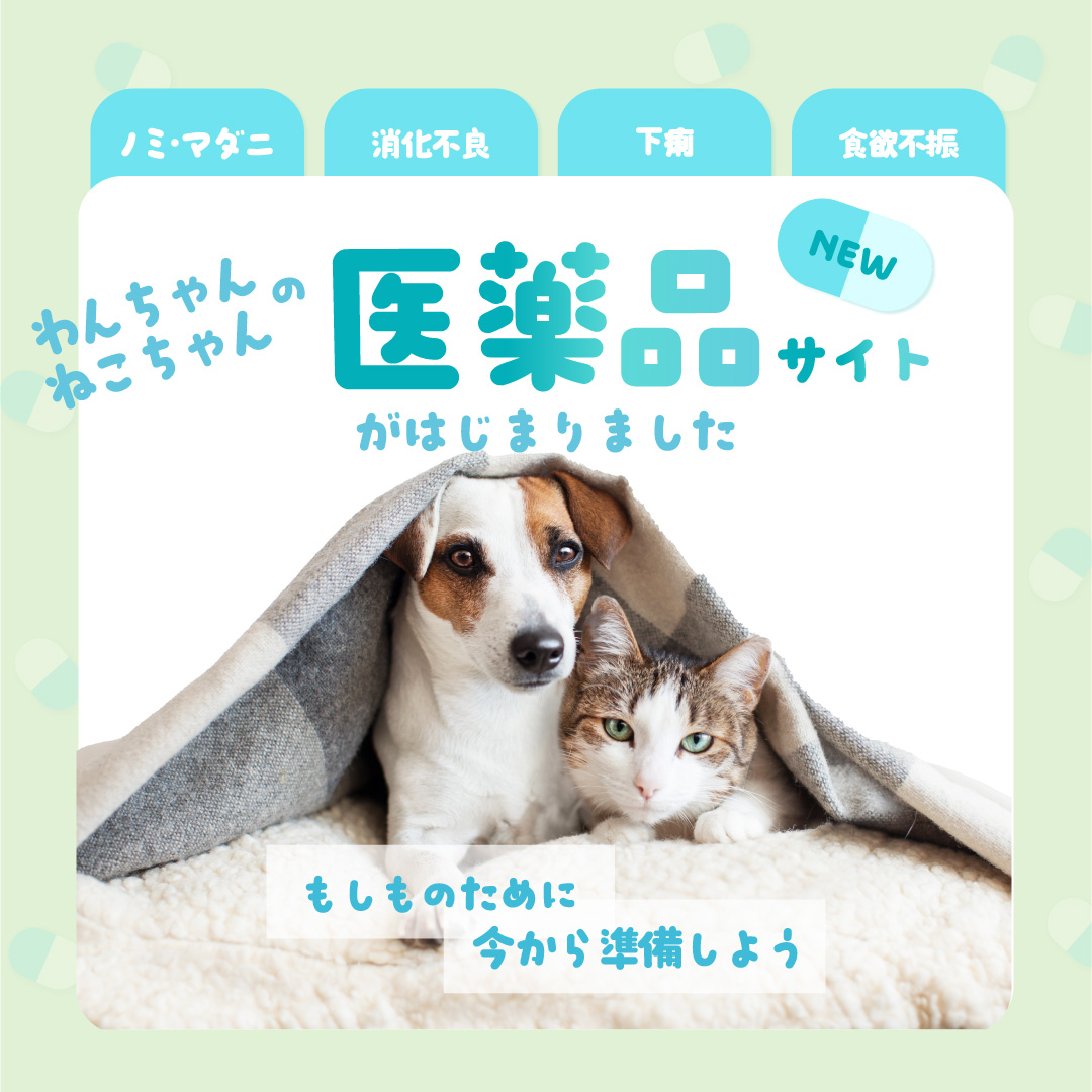 医薬品サイトスタート