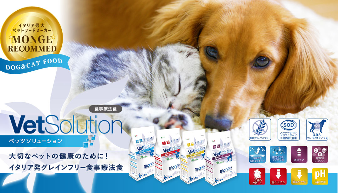 Vetsolution
