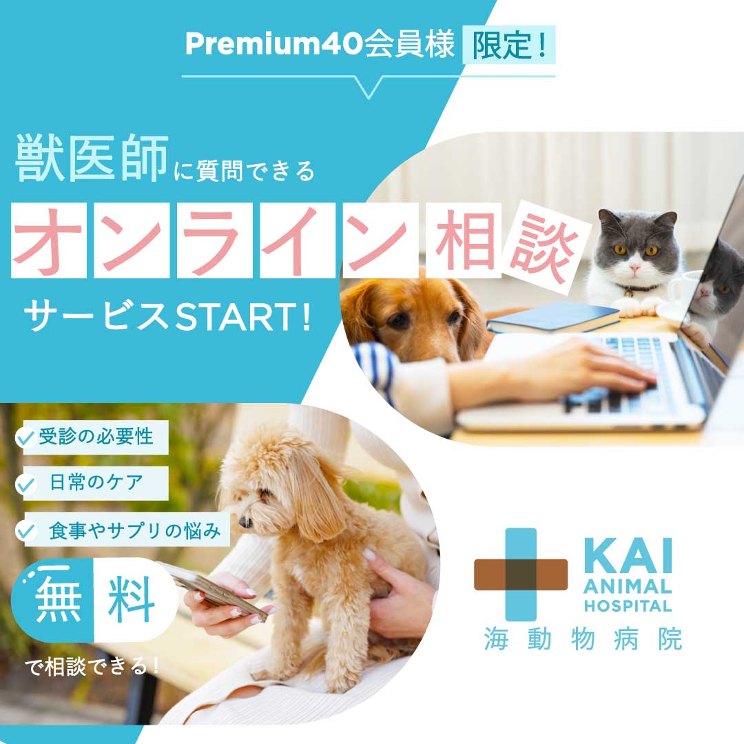 獣医師によるオンライン相談スタート