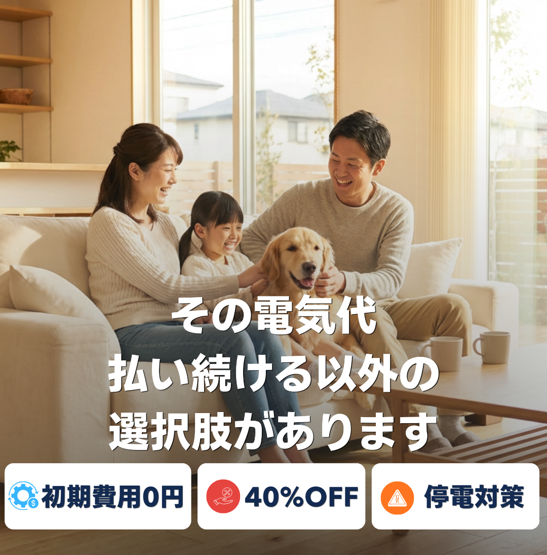 その電気代払い続ける以外の選択肢があります