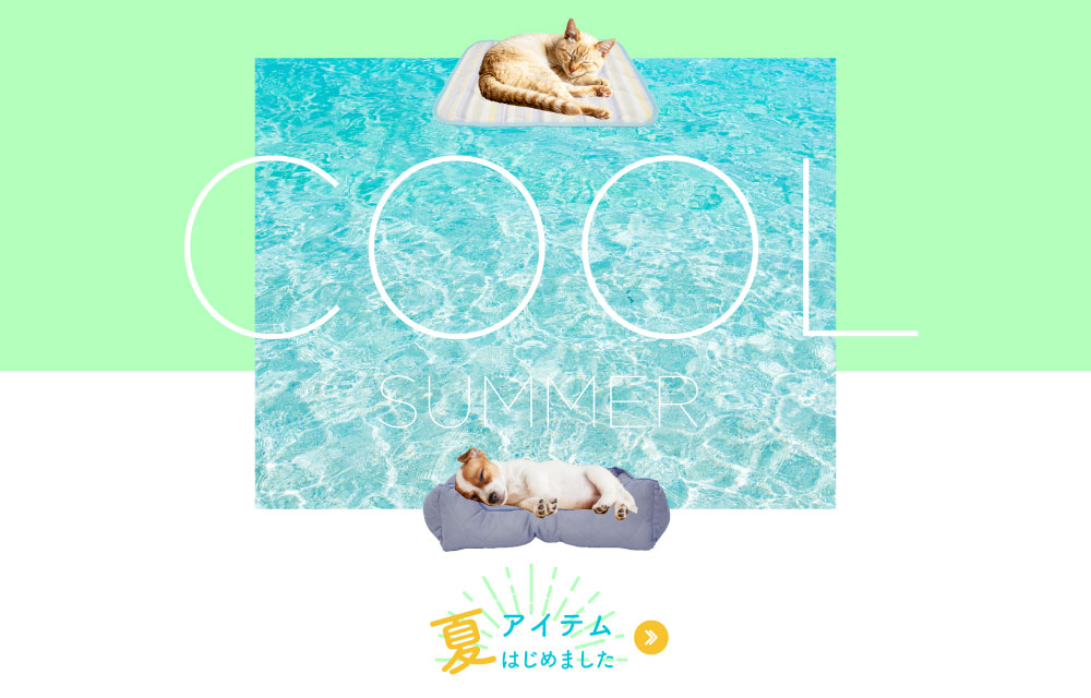 cool summer 夏 ペットアイテム特集