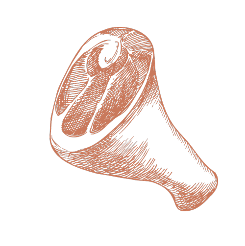 肉のイラスト
