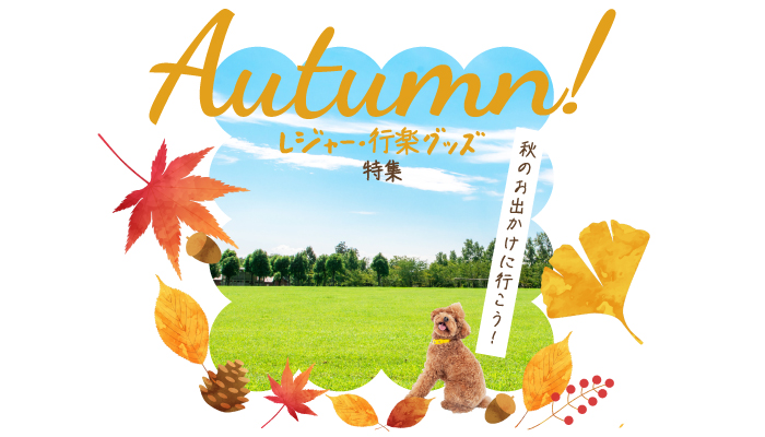 レジャー・行楽グッズ特集 秋のお出かけに行こう！