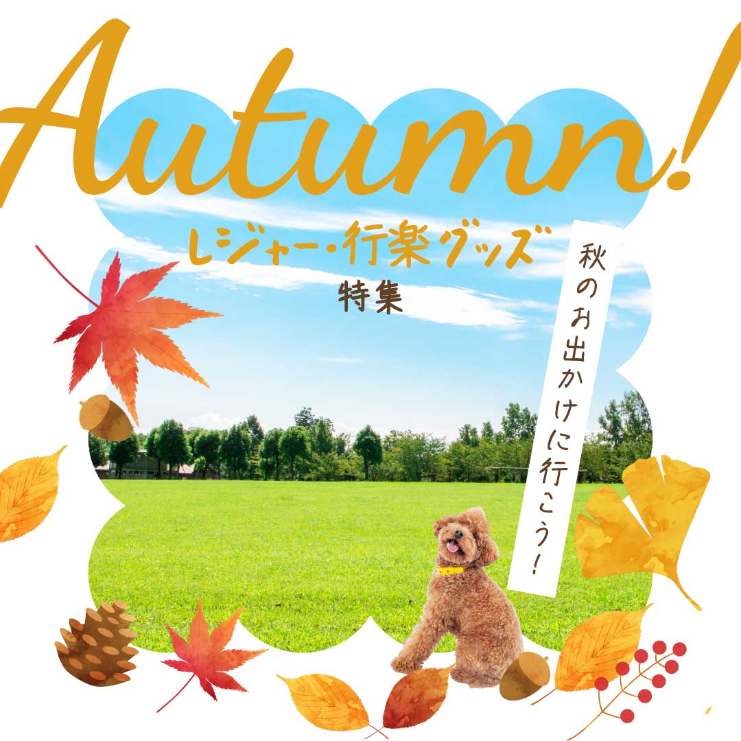 レジャー・行楽グッズ特集 秋のお出かけに行こう！
