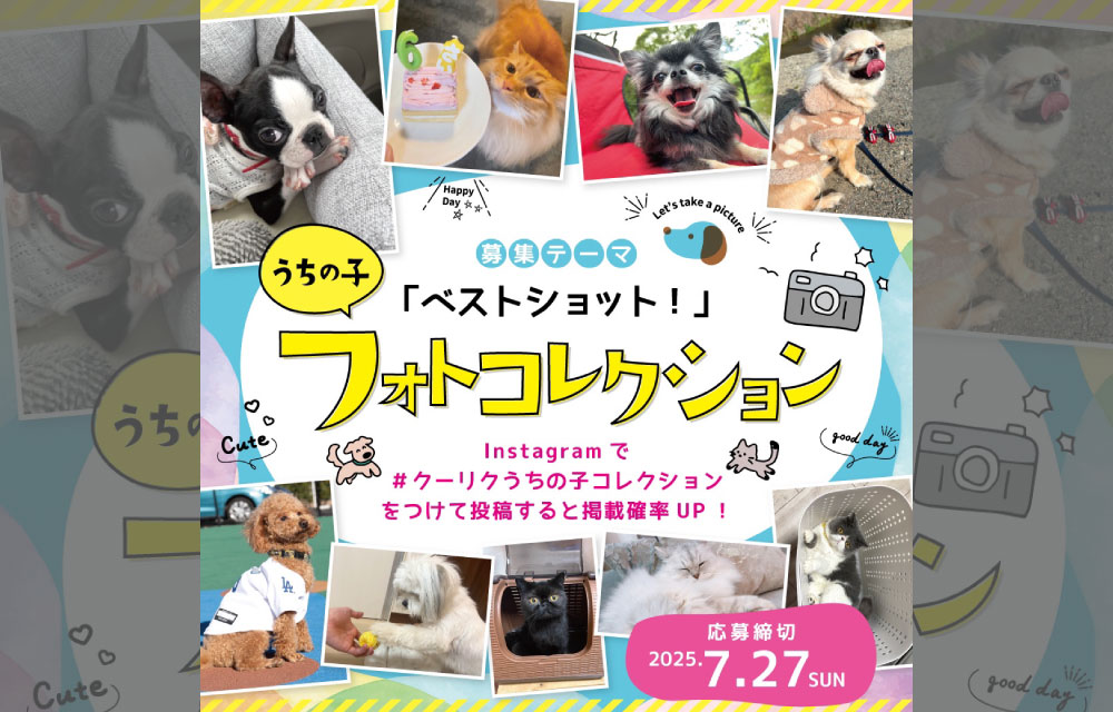 フォトコレクションキャンペーン