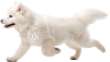 犬の画像