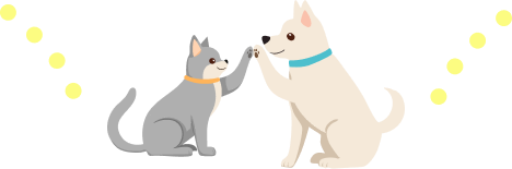 犬と猫がハイタッチしてる画像