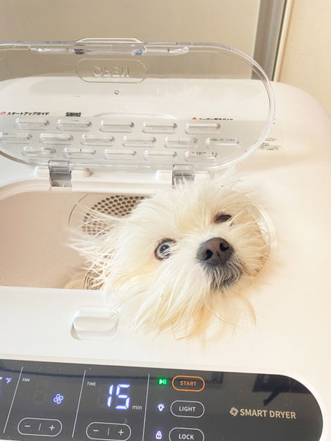レビュー画像