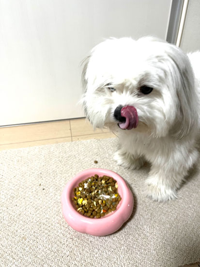 レビュー画像