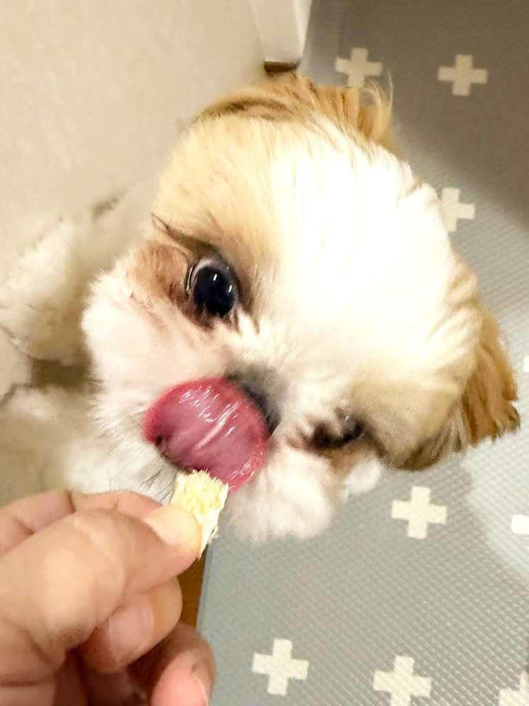 レビュー画像