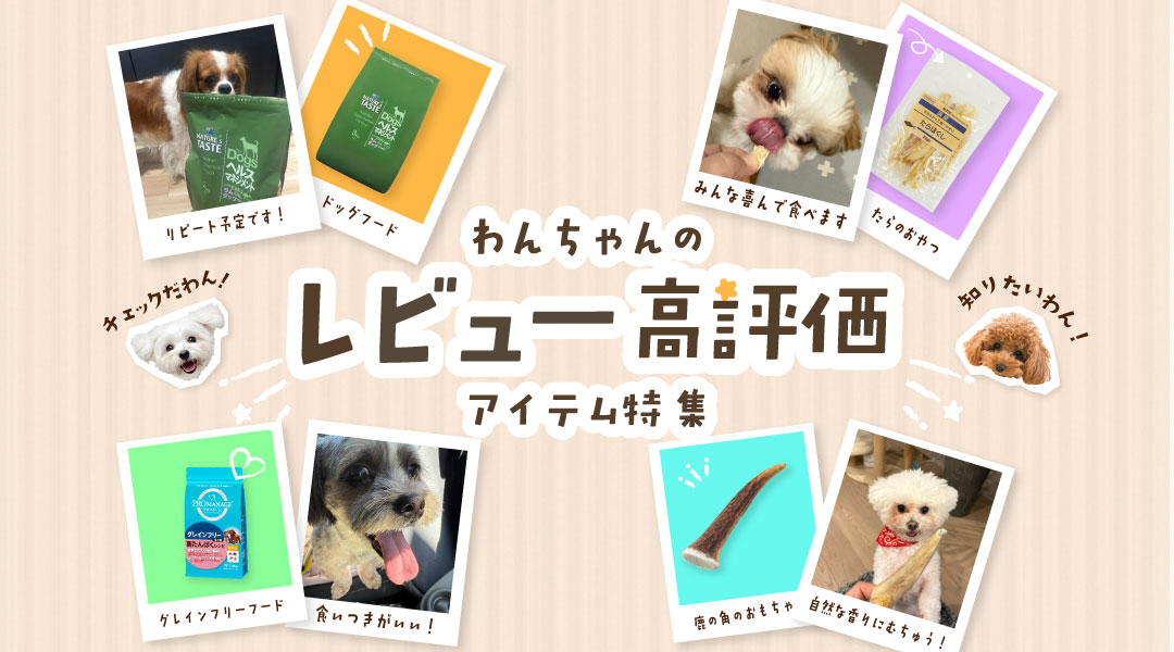 プレミアム40 ペットショップCoo＆RIKU dogersペットグッズ特集