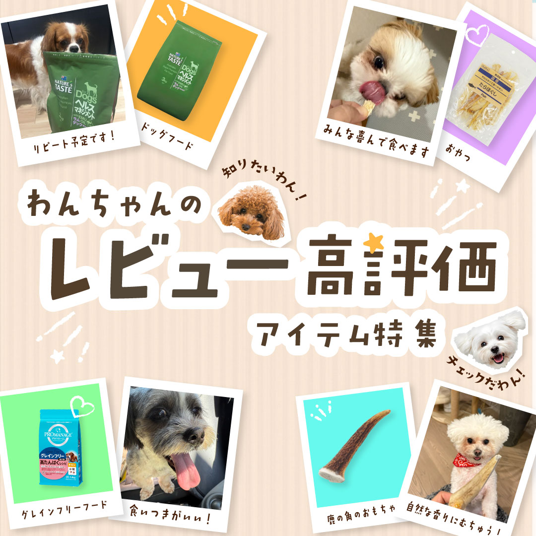 プレミアム40 ペットショップCoo＆RIKU dogersペットグッズ特集