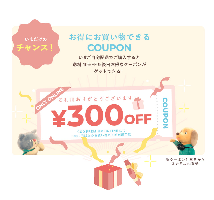 お得なクーポン300円オフゲット！