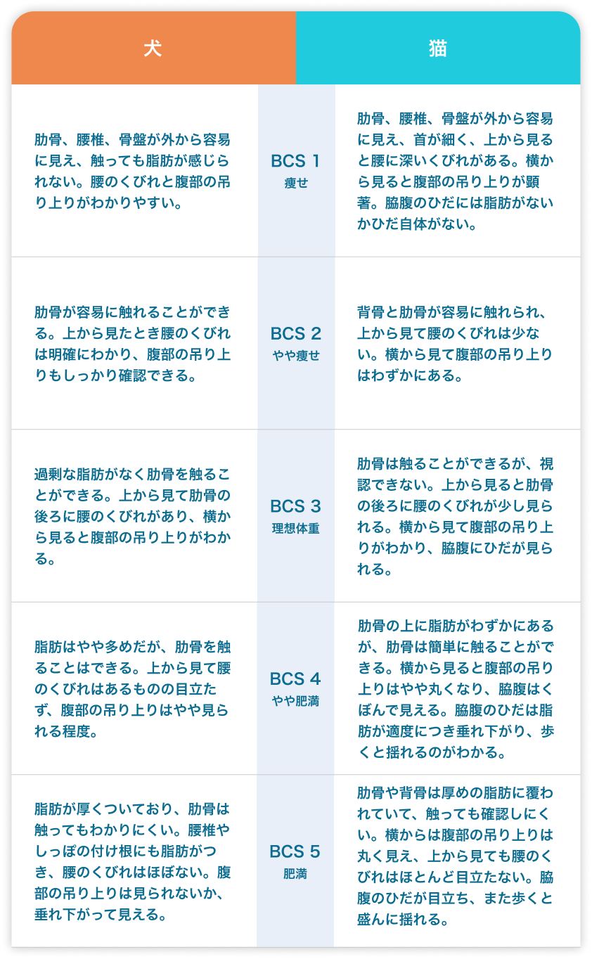 犬猫ボディコンディションスコアの表