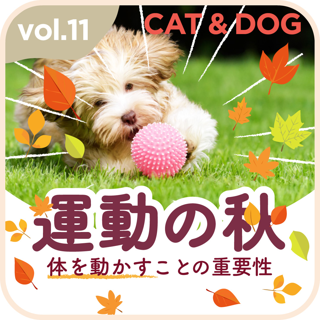 運動の秋 体を動かすことの重要性
