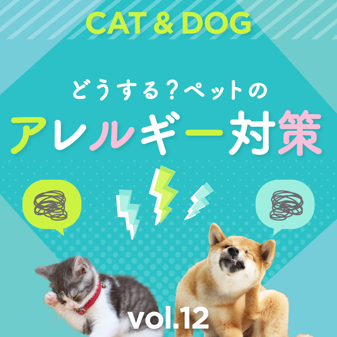 コラム ペットのアレルギー対策