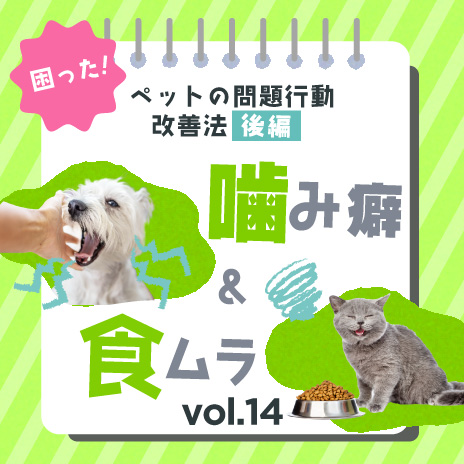 コラム 困った！ペットの噛み癖、食ムラ対策　問題行動の改善法【後編】