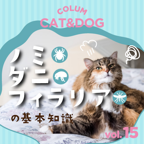 知っておこう！ノミダニ・フィラリアの基本知識