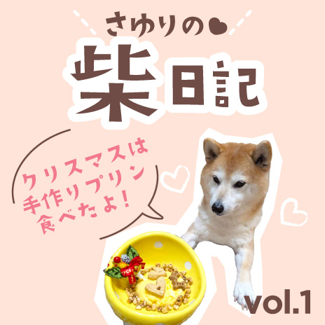 コラム 柴犬日記