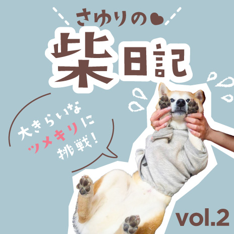 コラム 柴犬日記 爪切り・足裏バリカン