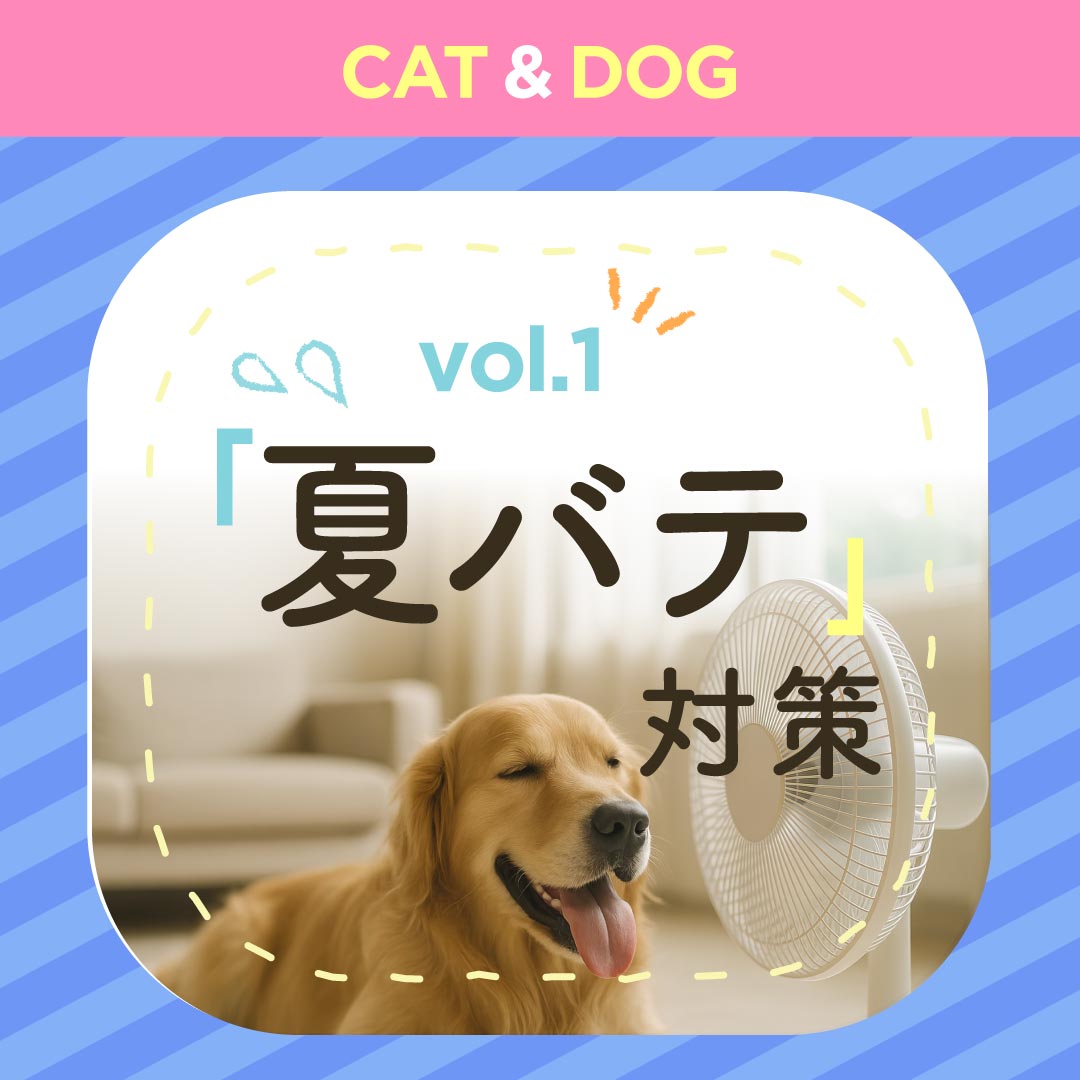 コラムの「ペットの夏バテ対策」