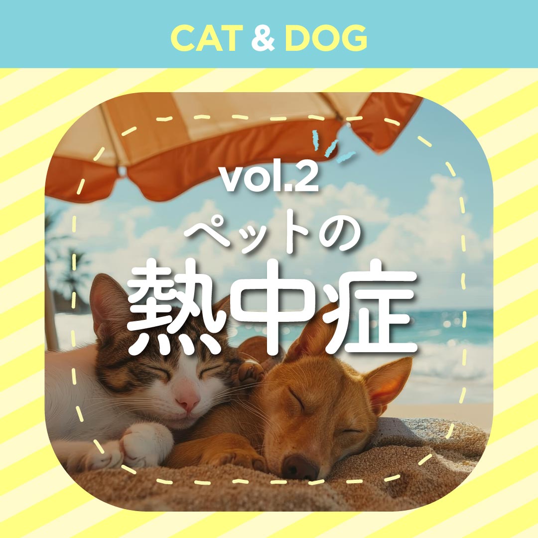 コラムの「ペットの熱中症」