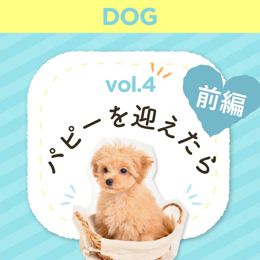 コラムのパピーを迎えたら【前編】