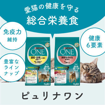 キャットフードのピュリナワン