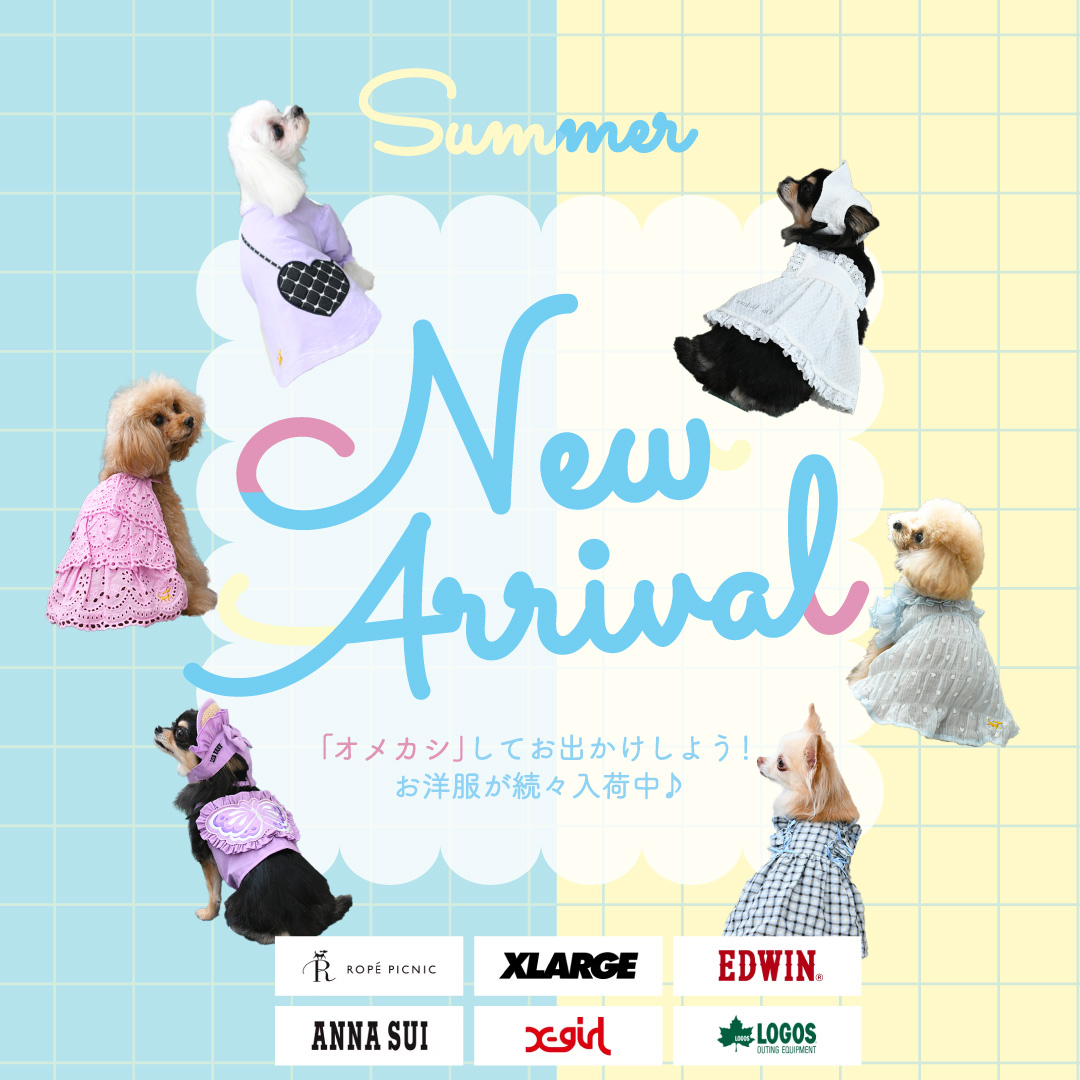 「おめかし」しておでかけしよう！新作の服が続々入荷中！