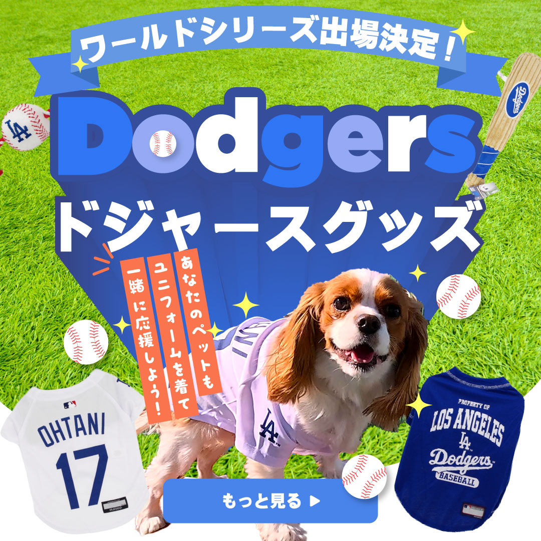 MLB公式ドジャース特集